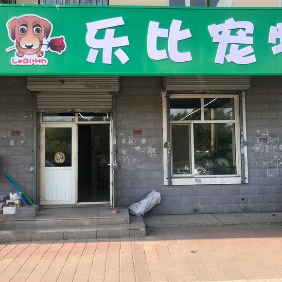 乐比宠物:哈尔滨市呼兰区南京路附近