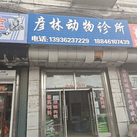 彦林动物诊所:哈尔滨市阿城区阿城区附近