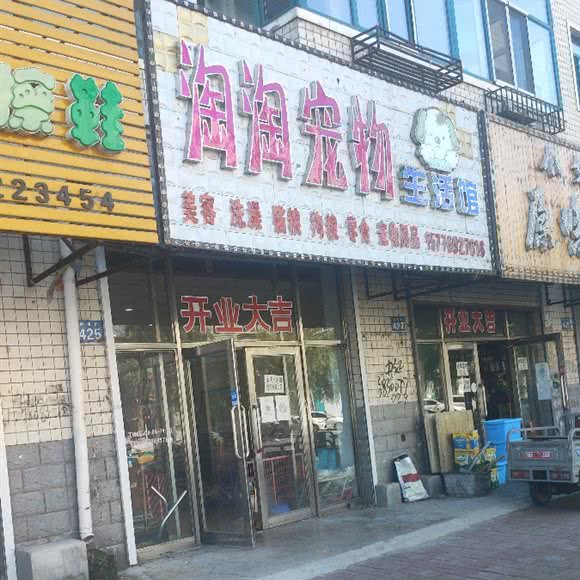 淘淘宠物生活馆:哈尔滨市依兰县依兰县附近