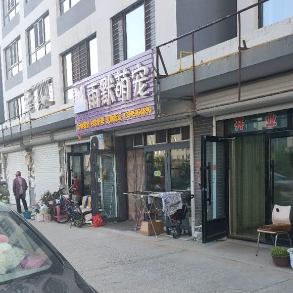 雨默萌宠:哈尔滨市依兰县依兰县附近