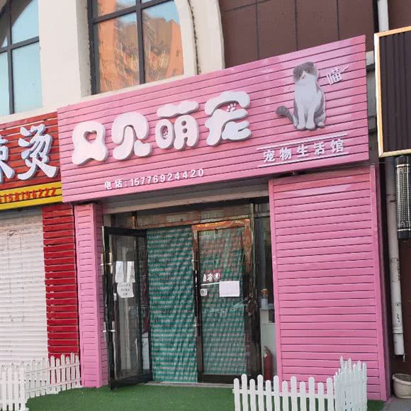 贝贝萌宠生活馆:哈尔滨市依兰县依兰县附近