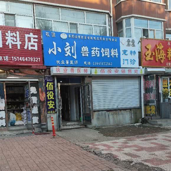 宠物门诊:哈尔滨市依兰县依兰县附近