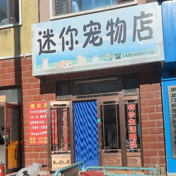 迷你宠物店:哈尔滨市通河县通河县附近