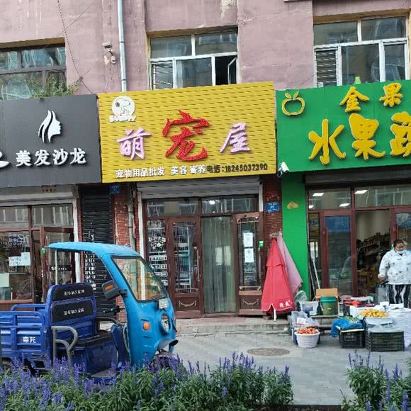 萌宠屋:哈尔滨市延寿县延寿县附近