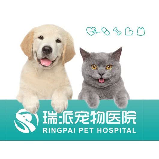 博望广外动物医院:北京城区西城区广外大街附近