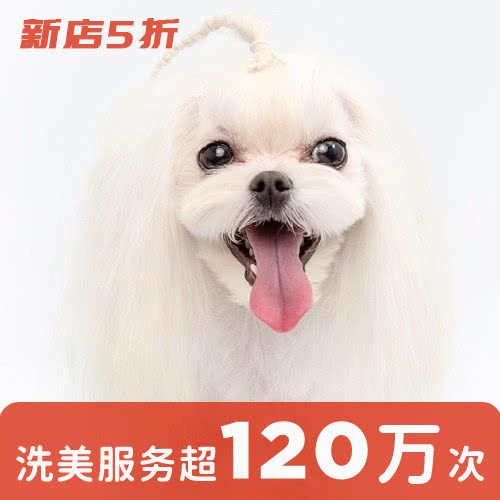 宠物家(蓝调国际店):北京城区丰台区丽泽桥/丰管路附近