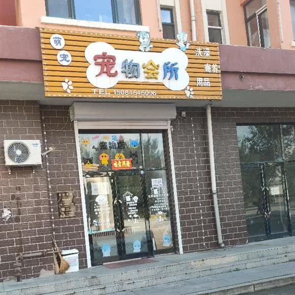 萌宠宠物会所:哈尔滨市尚志市尚志市附近