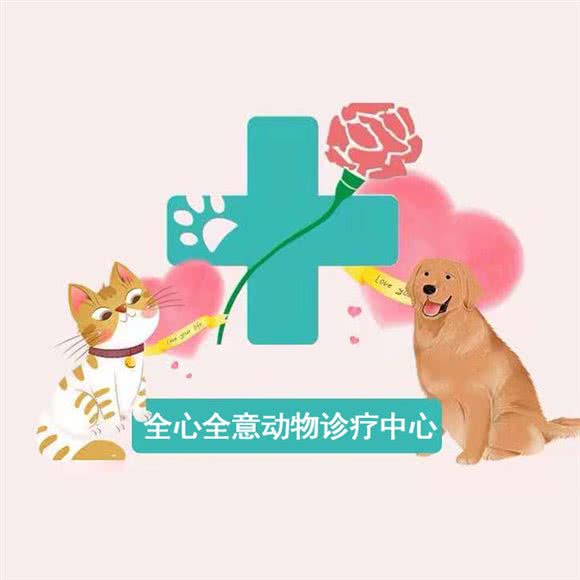全心全意连锁店动物医院:北京城区丰台区丽泽桥/丰管路附近