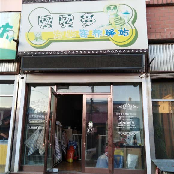 贝贝多宠物寄养驿站:哈尔滨市尚志市尚志市附近