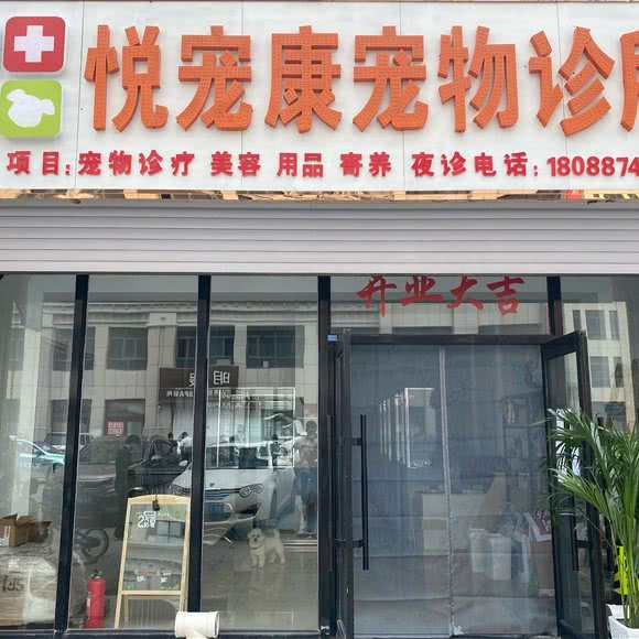 悦宠康宠物诊所:哈尔滨市尚志市尚志市附近