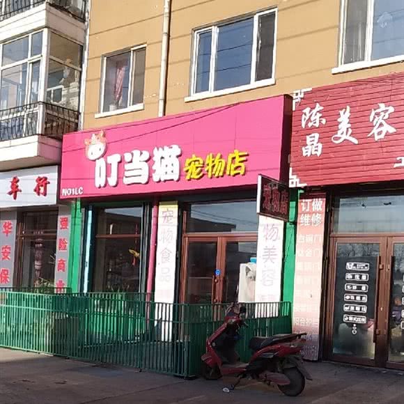叮当猫宠物店:哈尔滨市五常市五常市附近