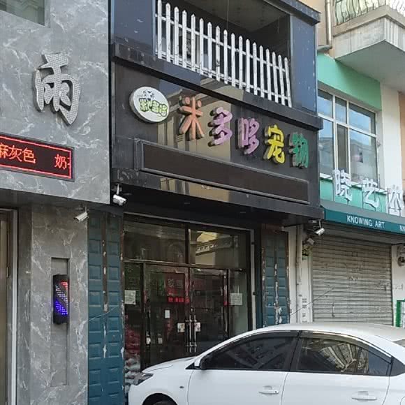 米多哆宠物:哈尔滨市五常市五常市附近