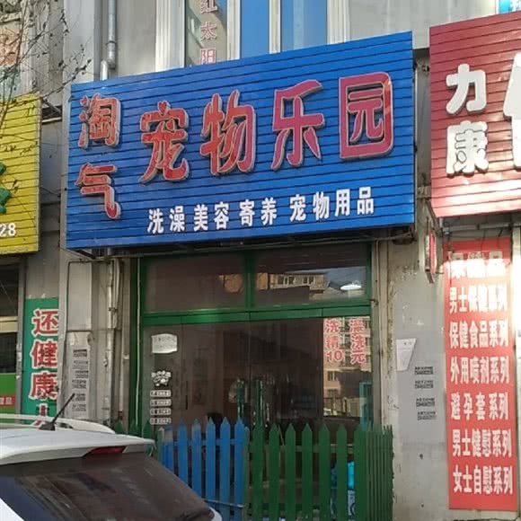 淘气宠物乐园:哈尔滨市五常市五常市附近