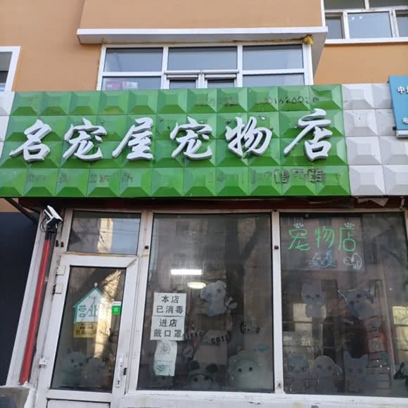 名宠屋宠物店:齐齐哈尔市龙沙区龙沙公园附近