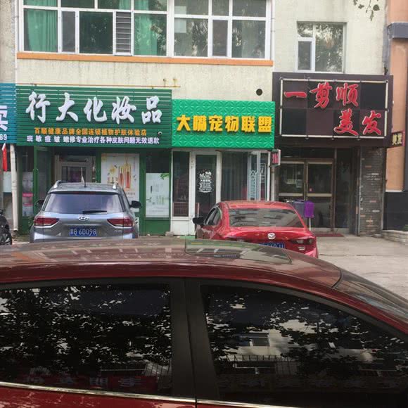 大嘴宠物联盟:齐齐哈尔市龙沙区三百客运站附近