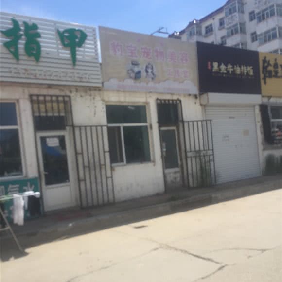 豹宝宠物美容:齐齐哈尔市建华区大润发二店附近