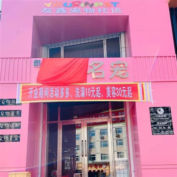 小佳名宠(高端店):齐齐哈尔市建华区运建园附近
