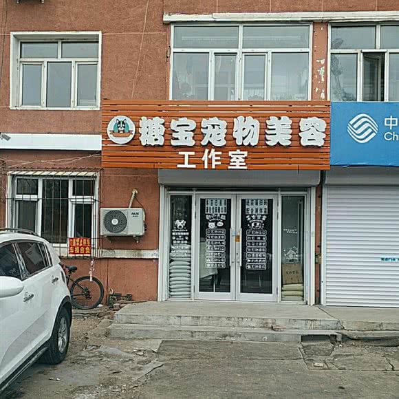糖宝宠物美容:齐齐哈尔市铁锋区车辆厂正门附近