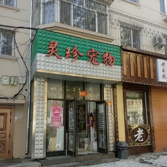 灵珍宠物狗:鹤岗市向阳区老街基/振兴广场附近