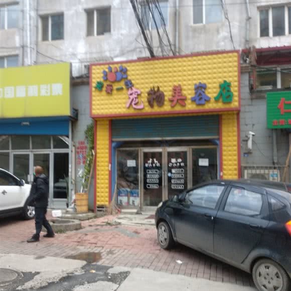 宠爱一生宠物美容店:鹤岗市向阳区老街基/振兴广场附近