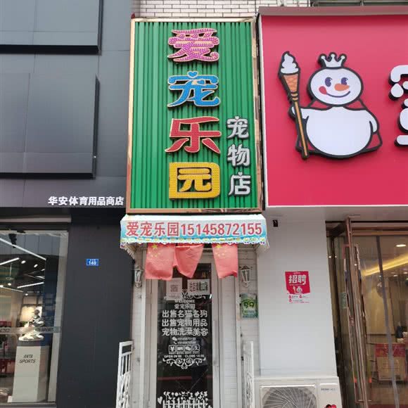 鹤岗爱宠游乐园宠物店:鹤岗市工农区东北亚商城附近
