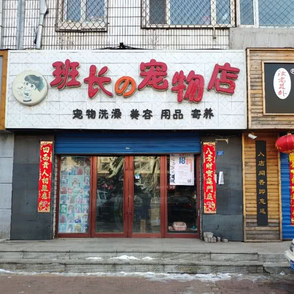 班长の宠物店:鹤岗市南山区五指山公园附近