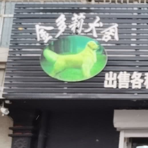 金多莉犬舍宠物馆:大庆市龙凤区龙凤区中心城区附近