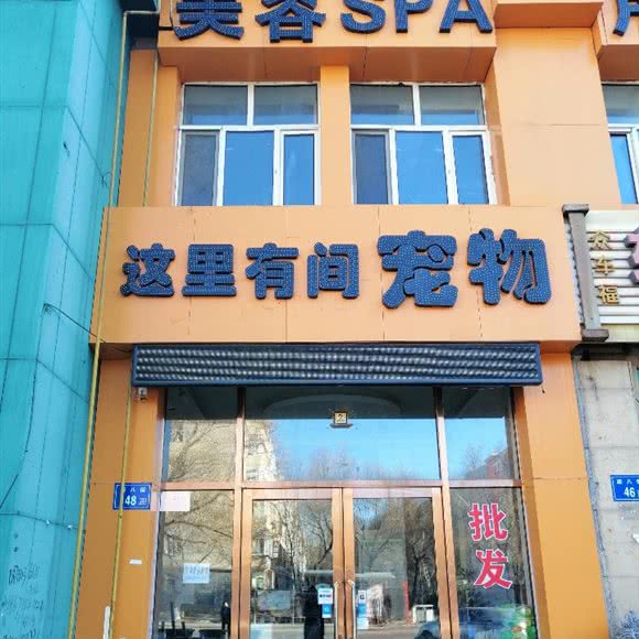 这里有间宠物:大庆市龙凤区新玛特附近