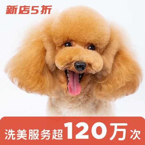宠物十家:北京城区丰台区世界公园附近