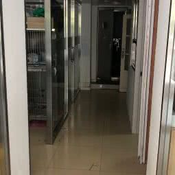 康安动物医院:大庆市龙凤区新村十区餐饮一条街附近