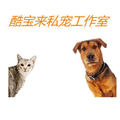 酷宝来私宠工作室:大庆市龙凤区湖滨教师花园附近