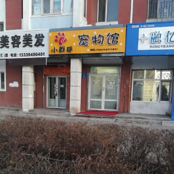 小脚印宠物服务:大庆市龙凤区石油大学附近