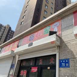 萌萌私宠:大庆市让胡路区乘风庄附近