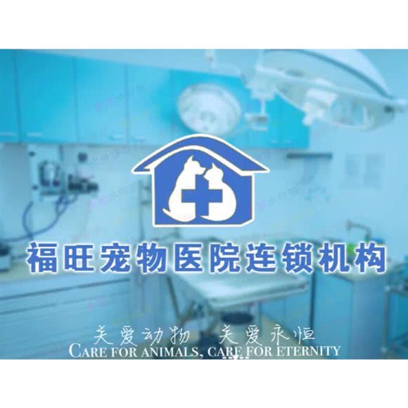 福旺动物医院(银亿阳光城店):大庆市让胡路区铁人广场/大庆一中附近