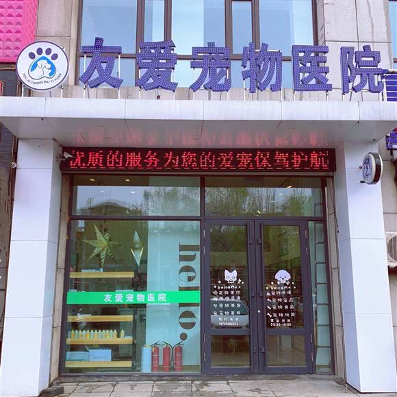 友爱宠物医院(胜利路水源山公园店):佳木斯市向阳区佳木斯大学附近