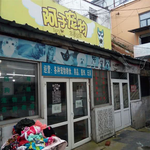 阿于宠物:佳木斯市向阳区大润发附近