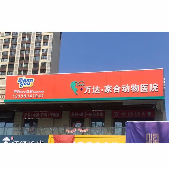 万达家合动物医院:佳木斯市向阳区万达广场附近