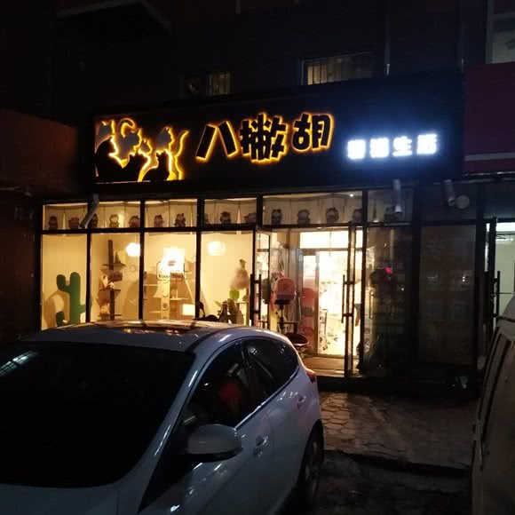 八撇胡爱猫生活:佳木斯市前进区佳木斯火车站附近