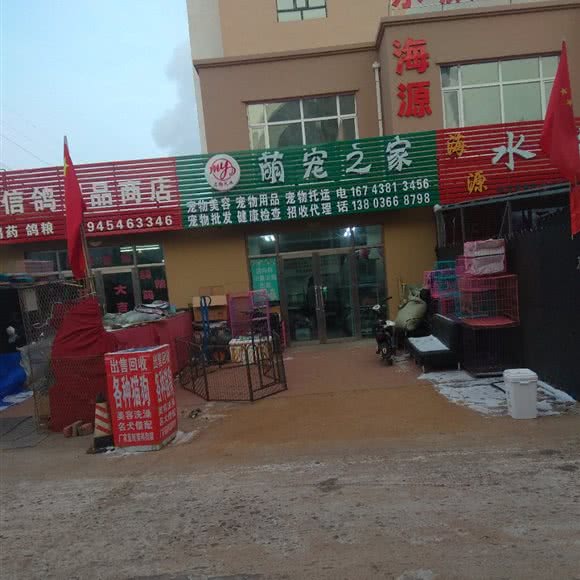 萌宠之家:佳木斯市东风区长安东路附近