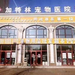 加特林宠物医院:佳木斯市东风区长安东路附近