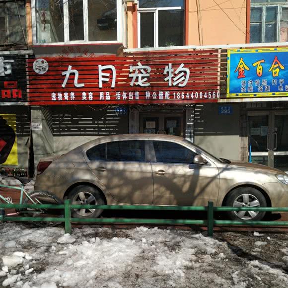 九月宠物:佳木斯市东风区东方花园附近