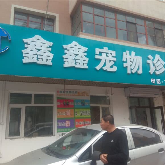 鑫鑫宠物诊所:佳木斯市东风区东方花园附近