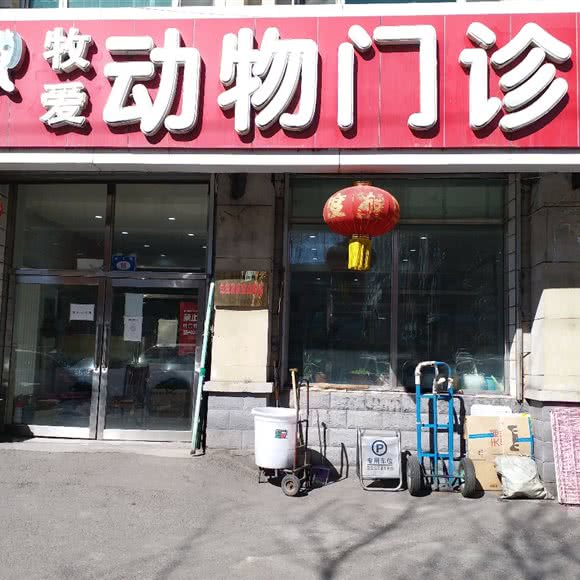 牧爱宠物中心:七台河市桃山区育才苑附近