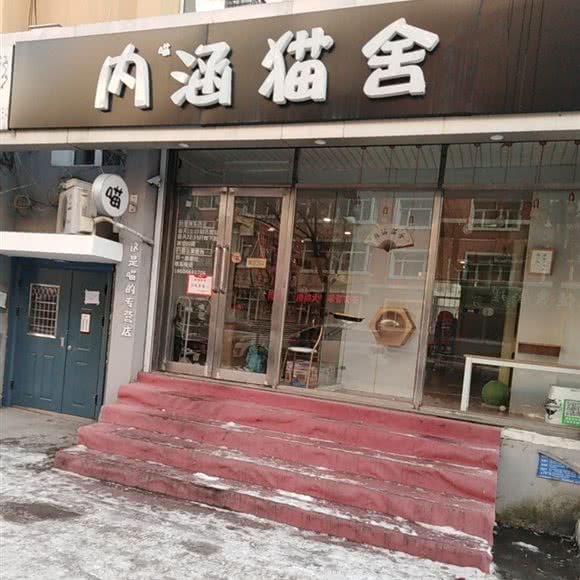 内涵猫舍:七台河市桃山区仙洞山广场附近