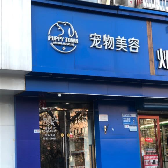 宠物美容:北京城区石景山区鲁谷附近