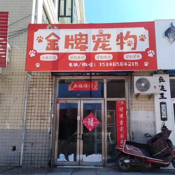 金牌宠物:绥化市北林区绥化西北城区附近