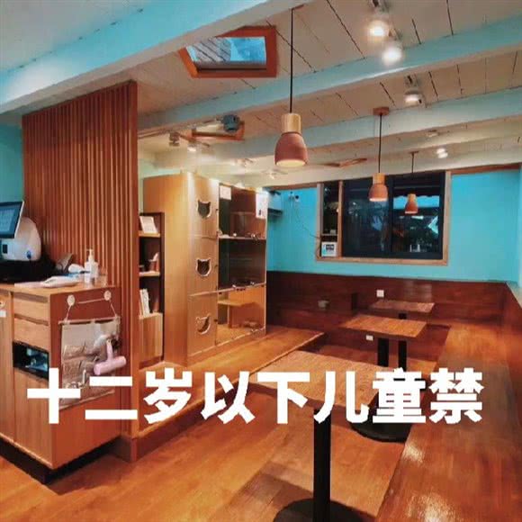 猫之一隅撸猫馆·猫咖:上海城区黄浦区打浦桥/田子坊附近