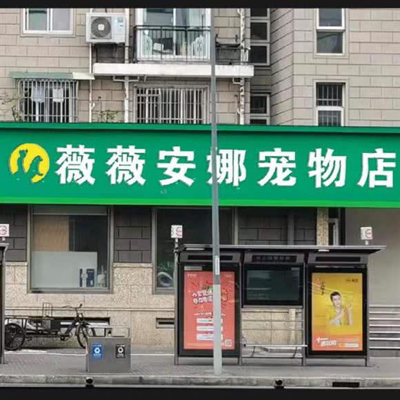 薇薇安娜宠物店(斜土路店):上海城区黄浦区打浦桥/田子坊附近