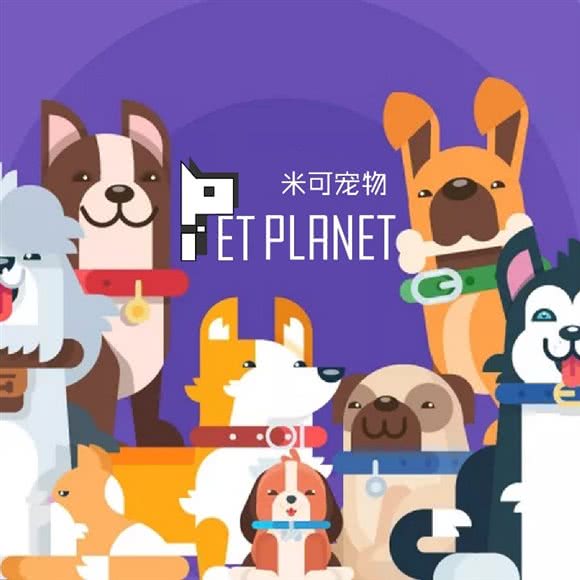 米可宠物狗PET PLANET:上海城区黄浦区打浦桥/田子坊附近
