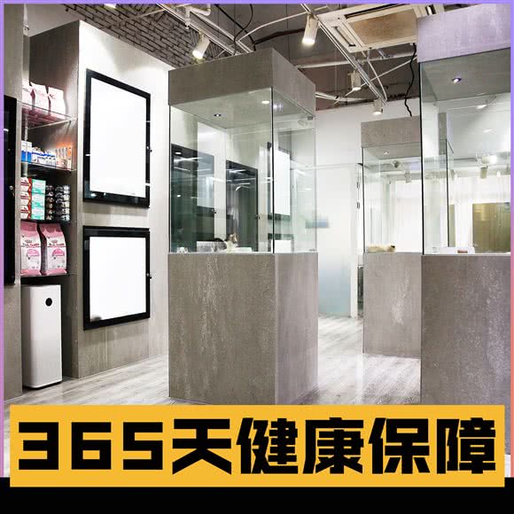 喵物多多·甄选猫舍(日月光店):上海城区黄浦区打浦桥/田子坊附近